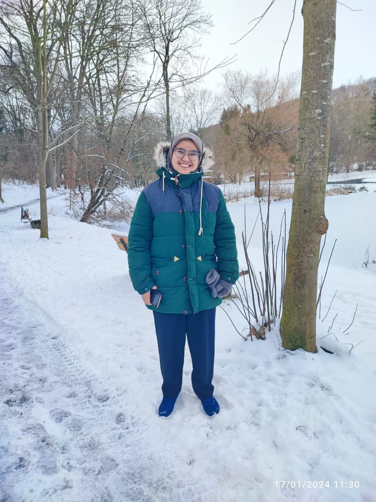 Image gallery marquee